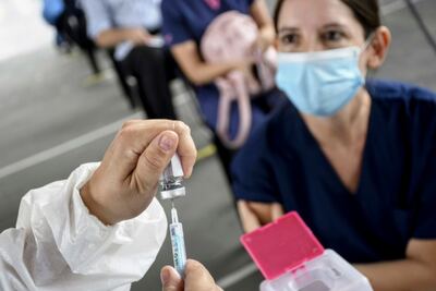 La primera vacuna argentina contra el coronavirus estaría lista este año