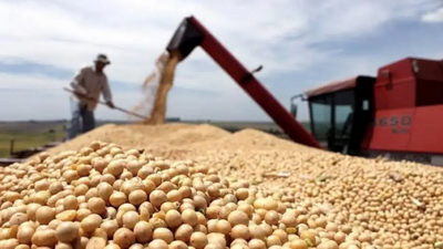 El Gobierno subió las retenciones a la exportación de harina y aceite de soja