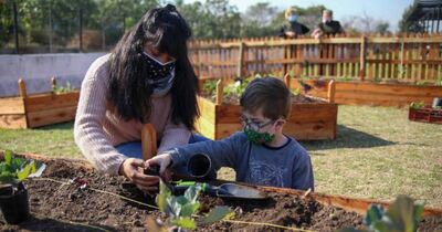Lomas de Zamora: Realizarán una jornada ambiental en el "Polideportivo Isabel La Católica"