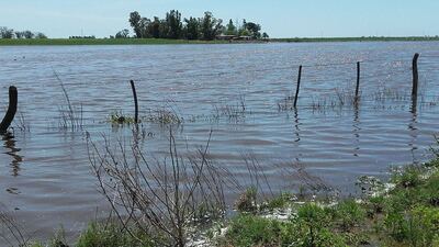 Trenque Lauquen: Prorrogan la declaración de emergencia y desastre agropecuario