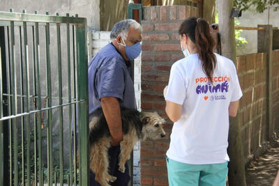 La Plata: Operativo de vacunación animal “puerta a puerta” en el barrio ‘El Mondongo’