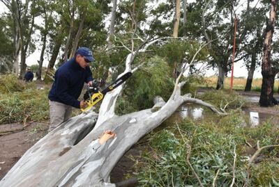 Bahía Blanca: El Concejo Deliberante declaró la emergencia forestal