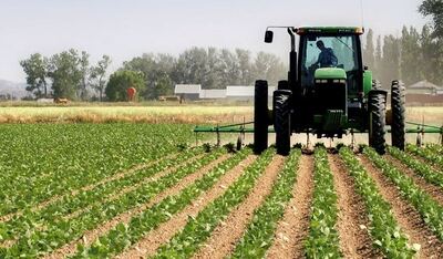 Mar del Plata: Productores agropecuarios exigen "reglas de juego claras"