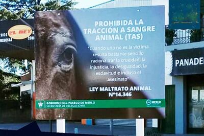 Merlo: El municipio prohíbe la tracción a sangre en todo el distrito