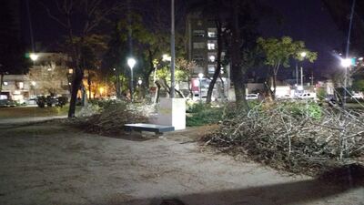La Plata: Quejas y rechazo vecinal por la poda indiscriminada en una plaza de la ciudad