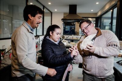 Mar del Plata: Encuentran un fósil que fue trasladado al Museo de Ciencias Naturales Lorenzo Scaglia