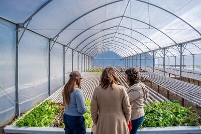 Moreno: Inauguran la segunda etapa del Parque Agrario “Parque del Oeste”