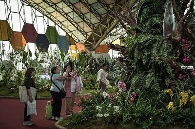 Escobar: Finalizó la Fiesta Nacional de la Flor con récord de visitantes