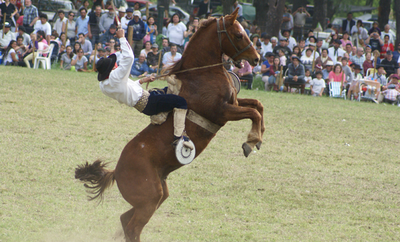 Bragado: Hoy comienza la 51° Fiesta Nacional del Caballo