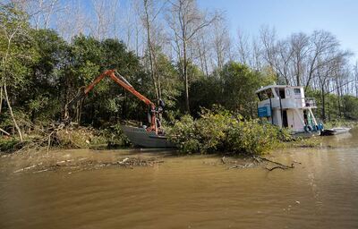 La Provincia avanza con las tareas de destronque y remoción en el Delta