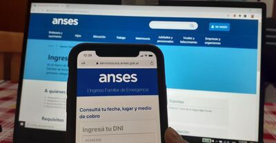 ANSES: Más de 100 mil personas accedieron al Refuerzo Alimentario en forma on - line