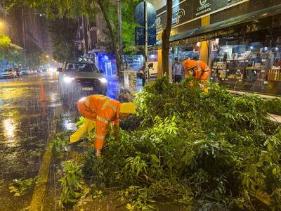 Mar del Plata: Balance del evento meteorológico registrado en las últimas horas