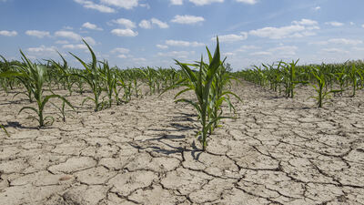 Por la Sequía, Kicillof declaró a 33 municipios en emergencia o desastre agropecuario