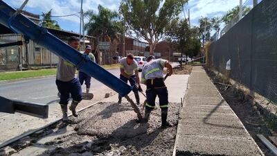 Tigre: El Plan de Veredas Vecinales en Troncos del Talar progresa a buen ritmo