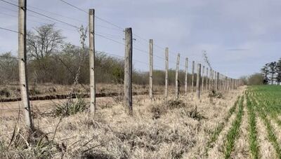 Lincoln: Extienden la emergencia agropecuaria en el distrito