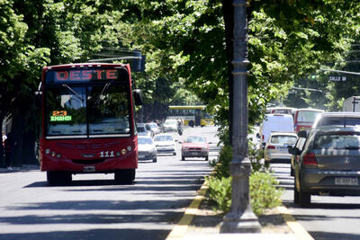 El 11M el transporte será gratis para mujeres en La Plata, Berisso y Ensenada