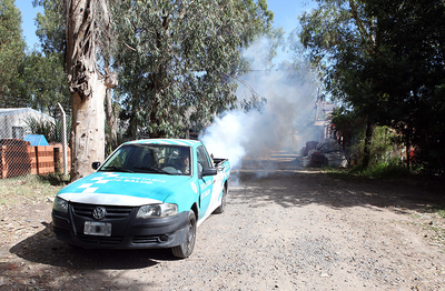 La Plata: Con controles de foco, fumigación y descacharreo, refuerzan la prevención del dengue en los barrios