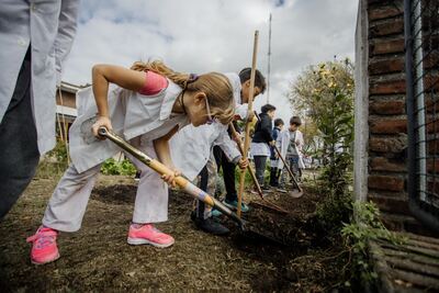 Mar del Plata: El Municipio desarrolla el programa de huertas en escuelas municipales