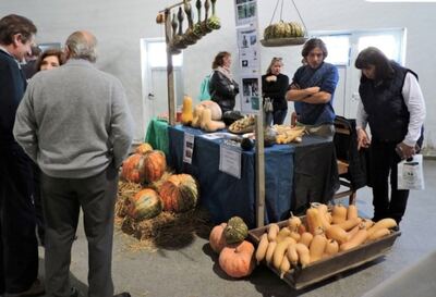 Puán: Este domingo se realizará la Fiesta Anual de la Agricultura Familiar