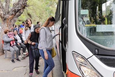 Madariaga: Por las elecciones, habrá traslado gratuito para estudiantes desde Mar del Plata, La Plata y Tandil