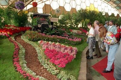 Escobar: Abren convocatoria para emprendedores que quieran participar de la 60° Fiesta Nacional de la Flor