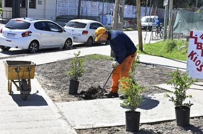 Tigre: La Comuna continúa con la puesta en valor del espacio público en el barrio Las Tunas