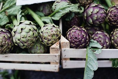 La Plata: Con agroturismo y un tour por fábricas, invitan a conocer la producción local de alcaucil y cerveza