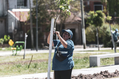 Almirante Brown: Avanza la parquización y forestación en Glew y Longchamps