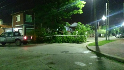 Necochea: Volaron techos y hubo postes y árboles caídos por la tormenta