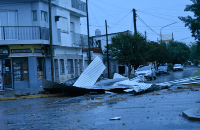Brandsen: Por el fuerte temporal cayeron árboles y la ciudad quedó sin luz