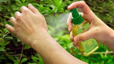 La Plata: El municipio produce su propio repelente para combatir los mosquitos