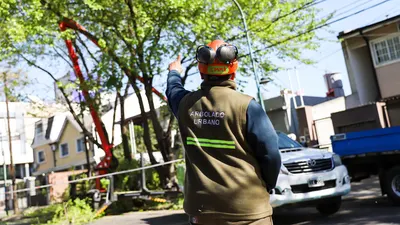 Vicente López: El municipio abrió la inscripción para los pedidos de poda