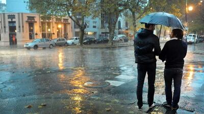 La Plata: Lluvias, anegamientos, calles inundadas y árboles caídos
