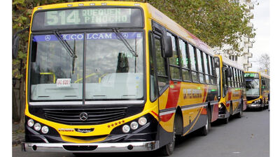 Necochea: El Concejo habilitó a las empresas de transporte a que fijen el valor del boleto