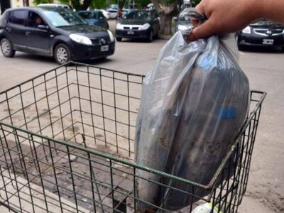 Berisso: Informaron el funcionamiento de la recolección de residuos en los feriados por Semana Santa