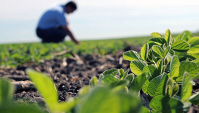 Dolores: Lanzan la carrera de Producción Agropecuaria