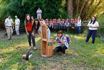 Tigre: Reinsertaron especies de fauna nativa en la Reserva Municipal Carapachay