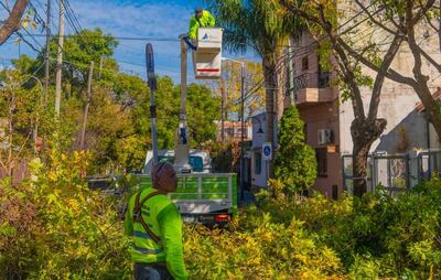San Fernando: Inician una nueva temporada de poda programada