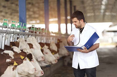La industria pyme cayó 6,5% interanual en octubre