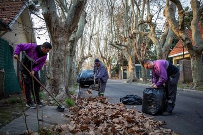 Trabajos finales de duplicación de calzada de la Ruta Provincial 53