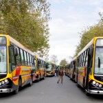 Se cumple una semana sin transporte público en Necochea