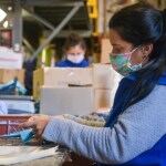 Presentan más de 500 proyectos para potenciar PyMEs bonaerenses con Clínica Tecnológica