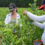 Este domingo entregaran un reconocimiento a Mujeres Rurales de Saladillo