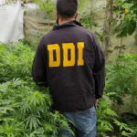Necochea: Cannabicultores exigen la libertad de un joven detenido por cultivar
