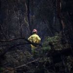 Ambiente añade recursos al combate de incendios junto con Defensa, Interior y Seguridad