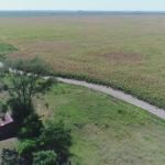 Provincia prevé invertir casi 75 millones de pesos en caminos rurales de Pehuajó