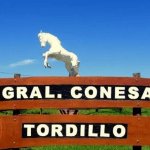 Tordillo: Se suspenden los eventos masivos por 60 días debido a la situación epidemiológica