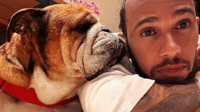 Lewis Hamilton confirmó el fallecimiento de su perro, Roscoe: "Fue la decisión más difícil de mi vida"