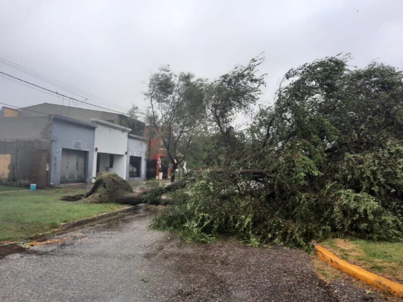 Trenque Lauquen: El temporal provocó voladura de techos y hubo evacuados