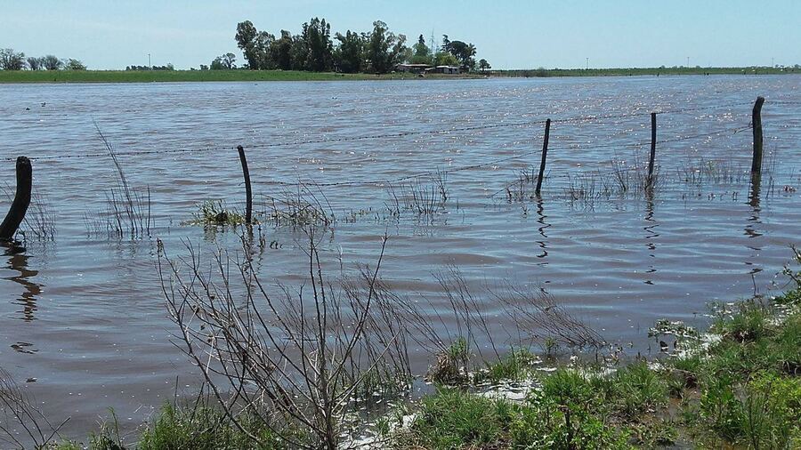 Trenque Lauquen: Prorrogan la declaración de emergencia y desastre agropecuario
